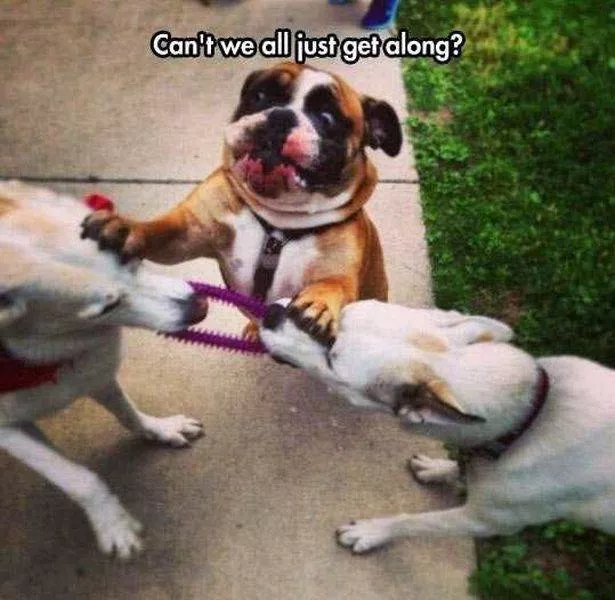 Picdump 95 - #25 