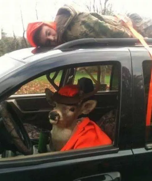 Picdump 95 - #38 