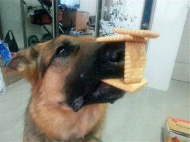 Picdump 95 - #56 