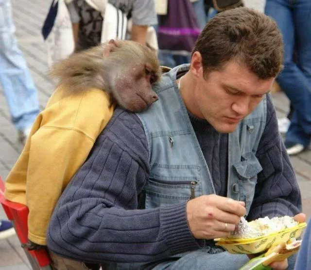 Picdump 95 - #62 