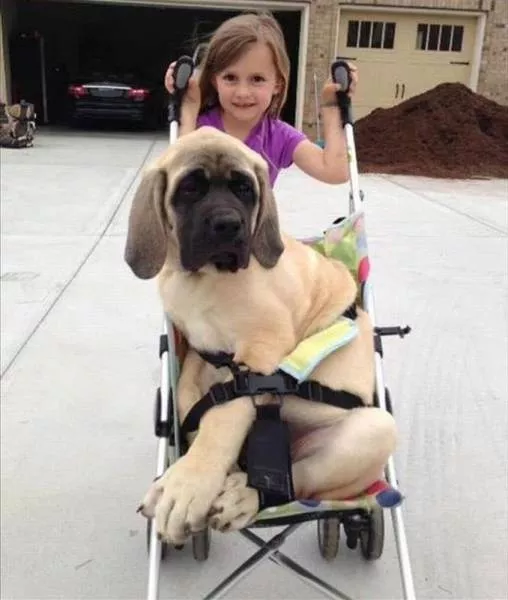 Picdump 95 - #74 