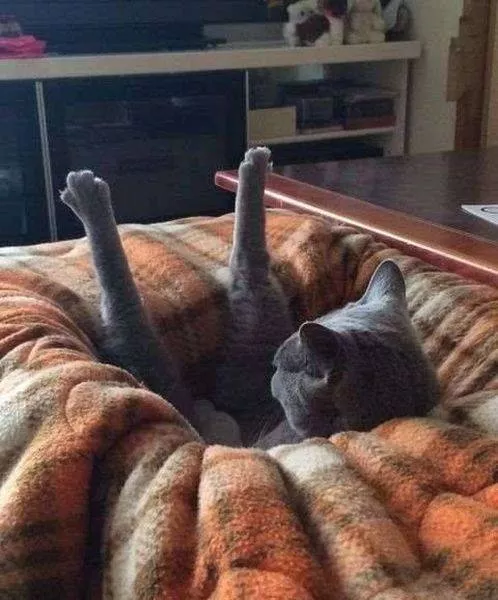 Picdump 95 - #9 