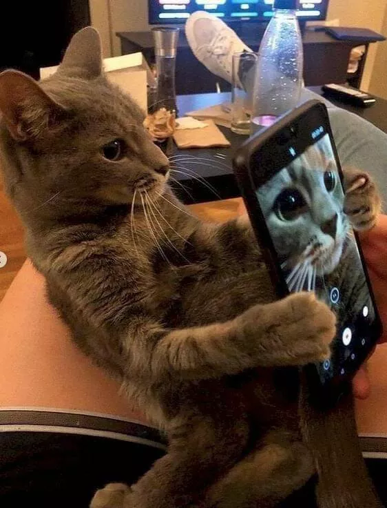 Picdump 617 - #31 