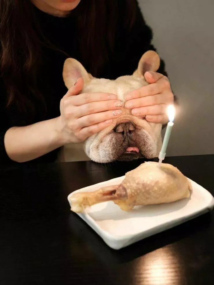 Picdump 617 - #49 