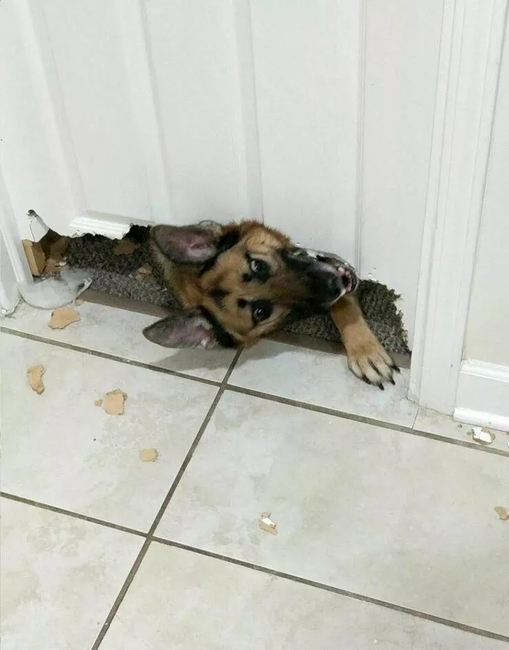Picdump 618 - #11 