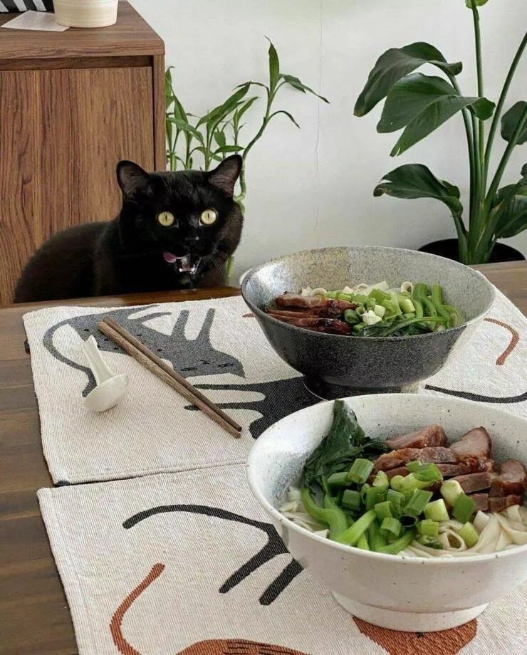 Picdump 618 - #37 