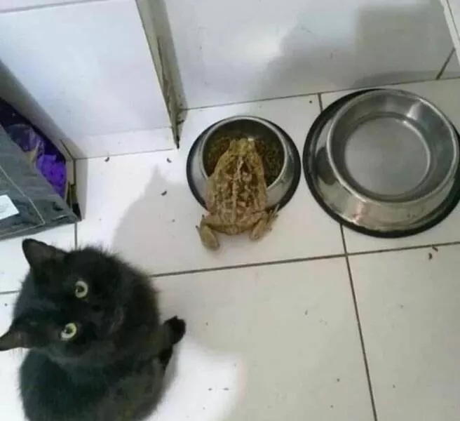 Picdump 618 - #43 