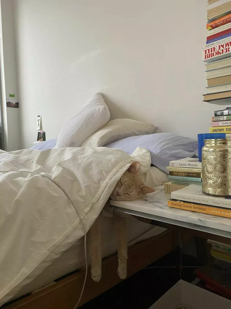 Picdump 618 - #50 