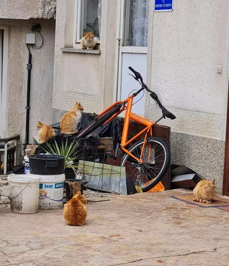 Picdump 618 - #55 