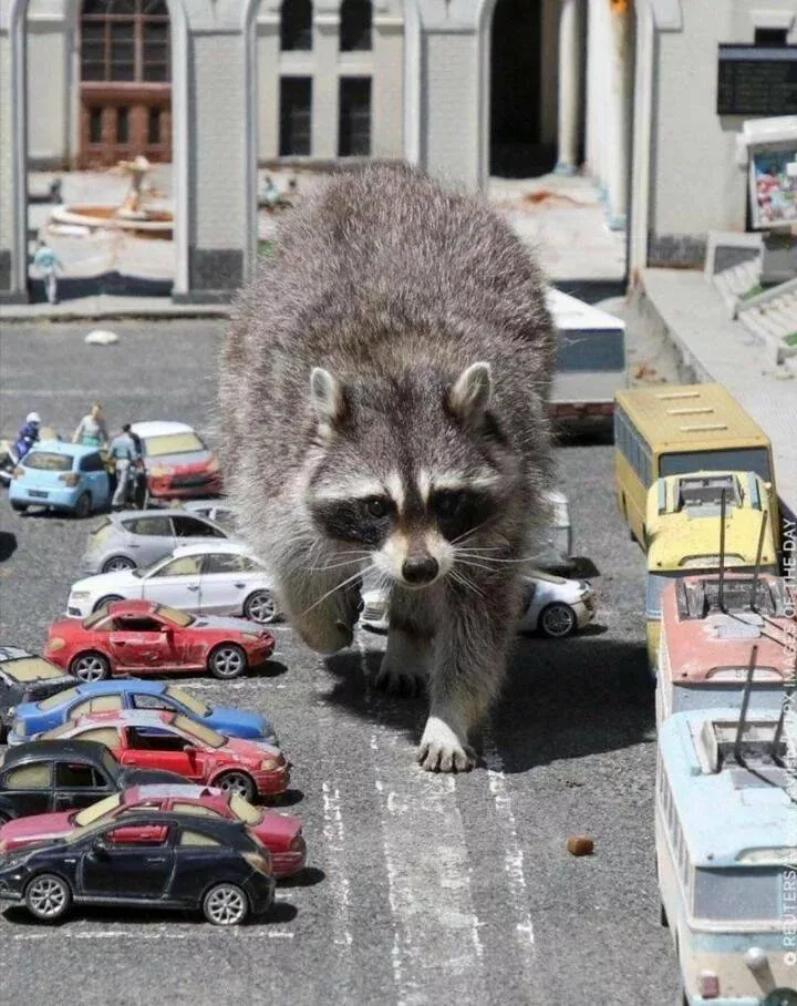 Picdump 618 - #60 