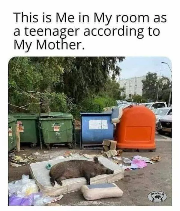 Memes for parents - #15 
