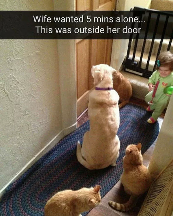 Memes for parents