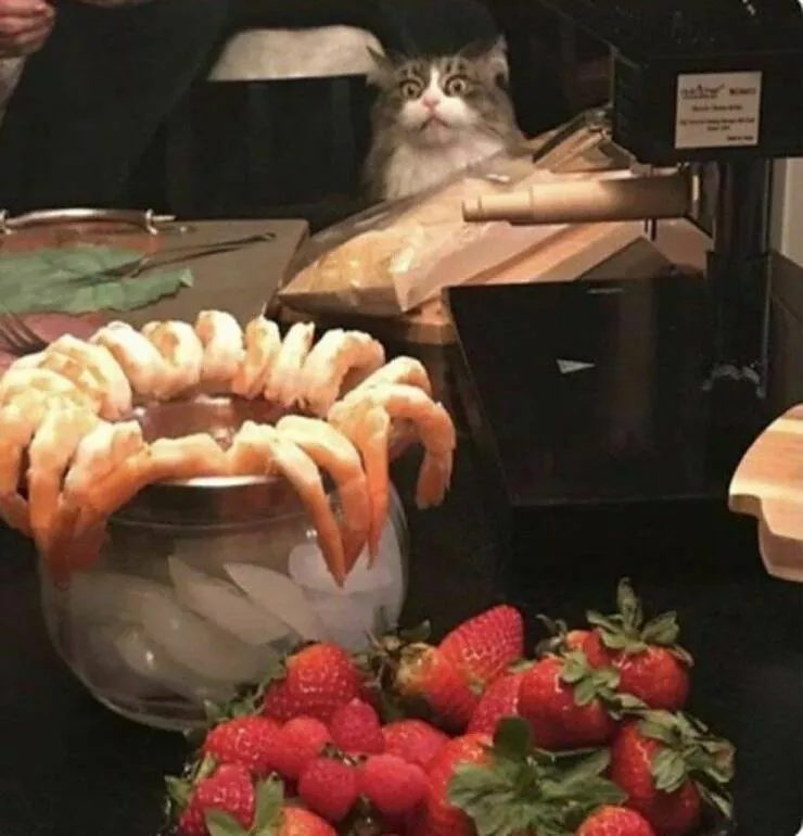 Picdump 619 - #43 