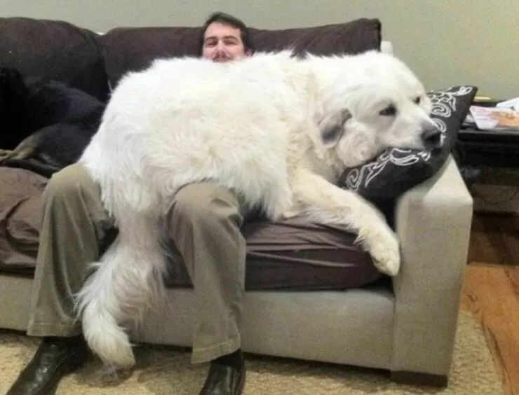 Picdump 619 - #54 