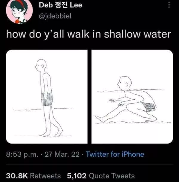 A compilation of funny pictures