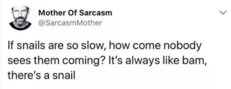 A compilation of funny pictures - #10 