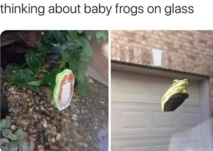 A compilation of funny pictures - #11 