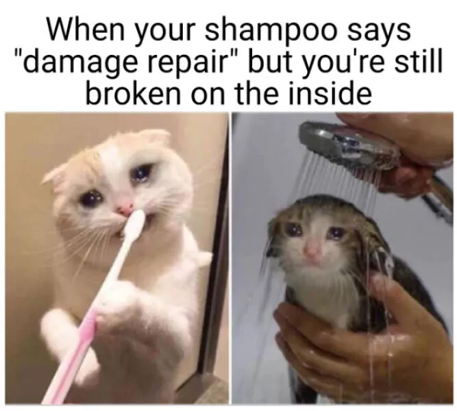 A compilation of funny pictures - #15 