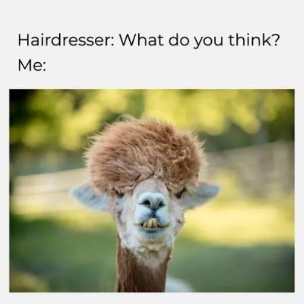A compilation of funny pictures - #21 