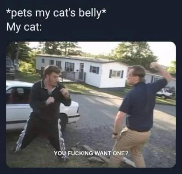 A compilation of funny pictures - #22 