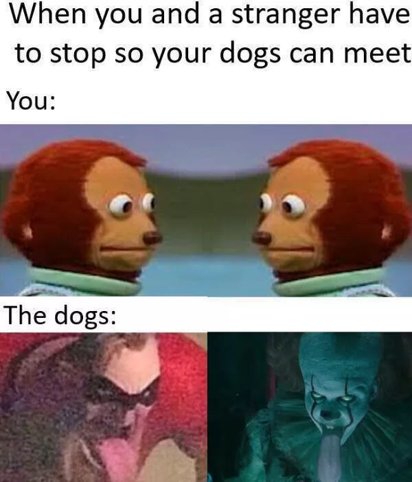 A compilation of funny pictures - #23 