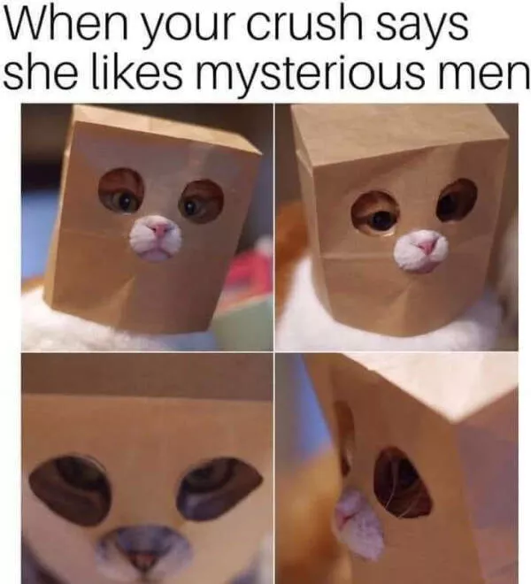 A compilation of funny pictures - #24 