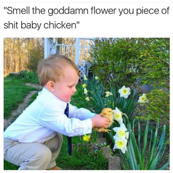 A compilation of funny pictures - #38 
