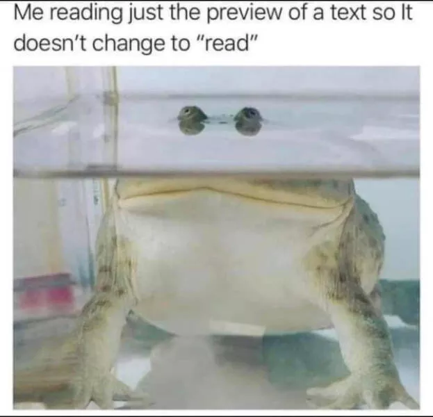 A compilation of funny pictures - #40 