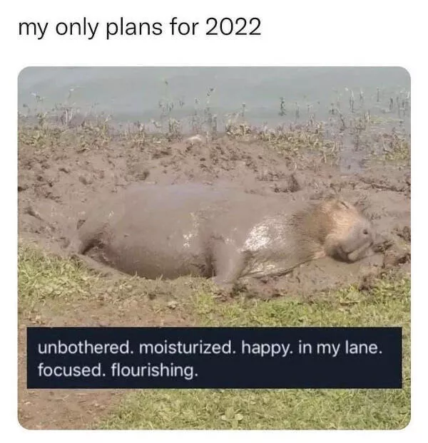 A compilation of funny pictures - #46 