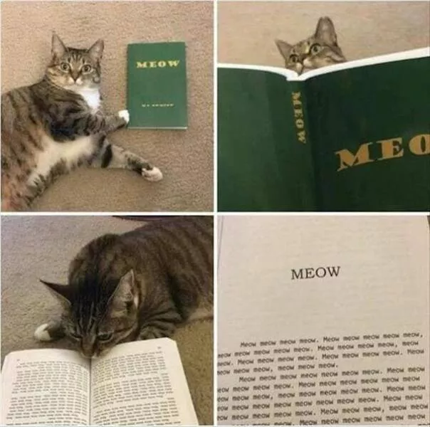 A compilation of funny pictures - #9 