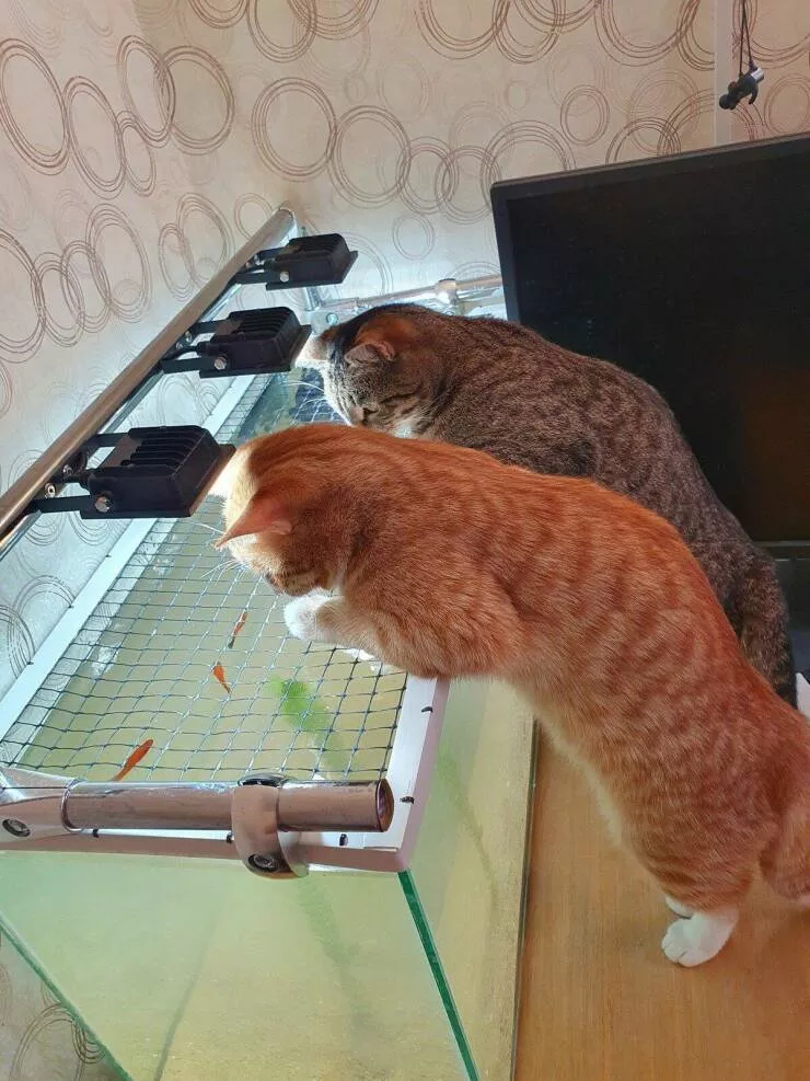 Picdump 620 - #13 
