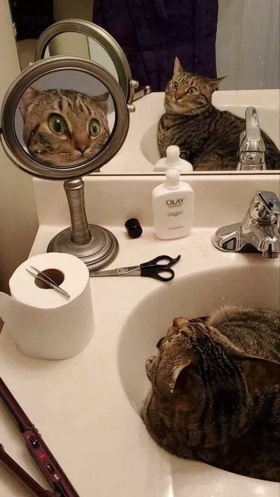 Picdump 620 - #50 