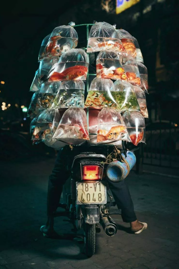 Picdump 620 - #52 