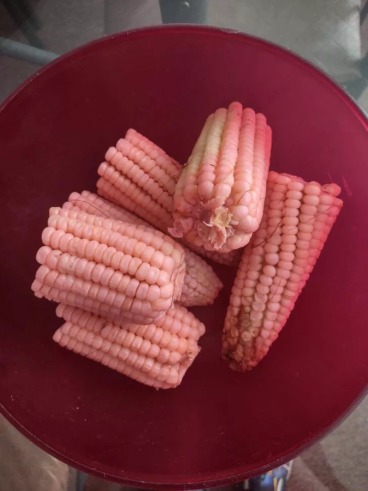Non ordinary objects and things - #11 