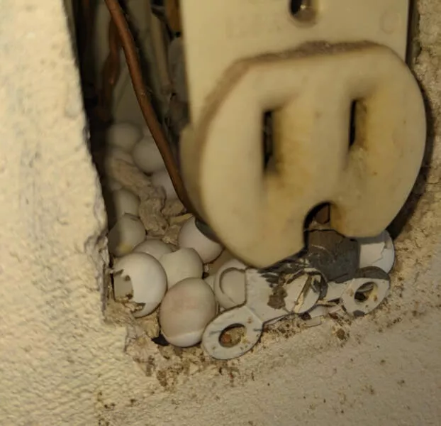 Non ordinary objects and things - #2 