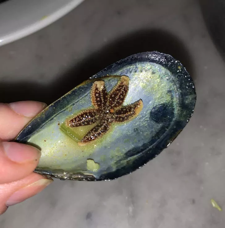 Non ordinary objects and things - #7 