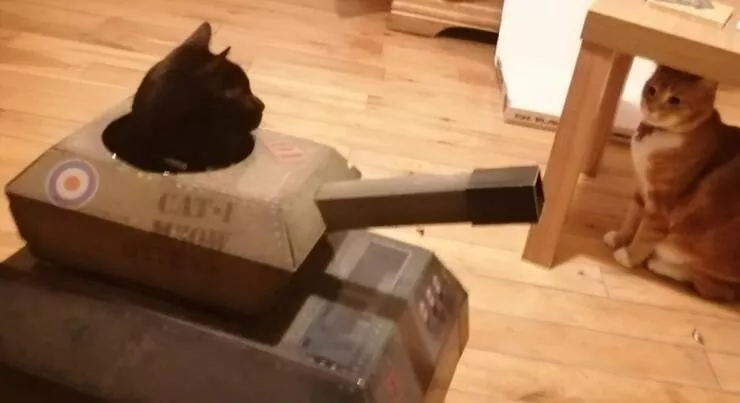 Picdump 621 - #51 