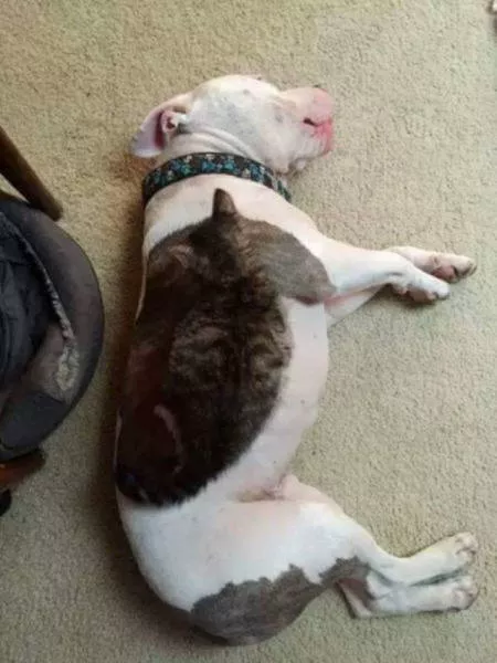 You must think to understand these photos - #13 