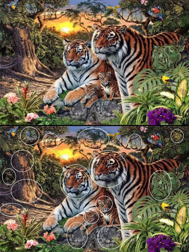 Il faut reflechir pour comprendre ces photos - #25 