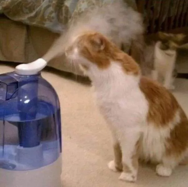 Picdump 622 - #14 