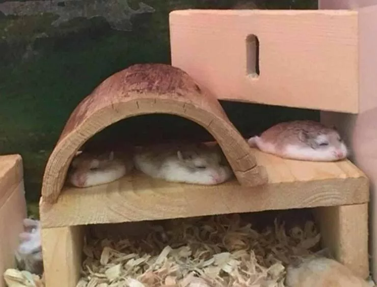 Picdump 622 - #17 