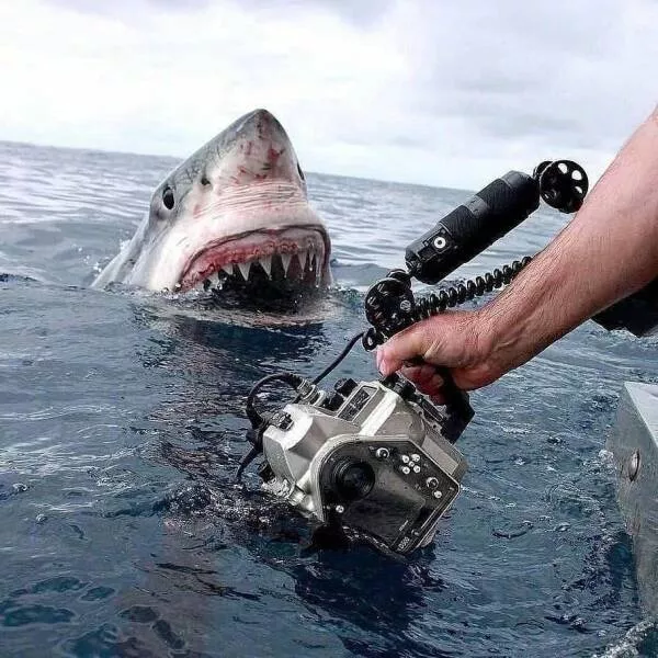 Picdump 622 - #22 