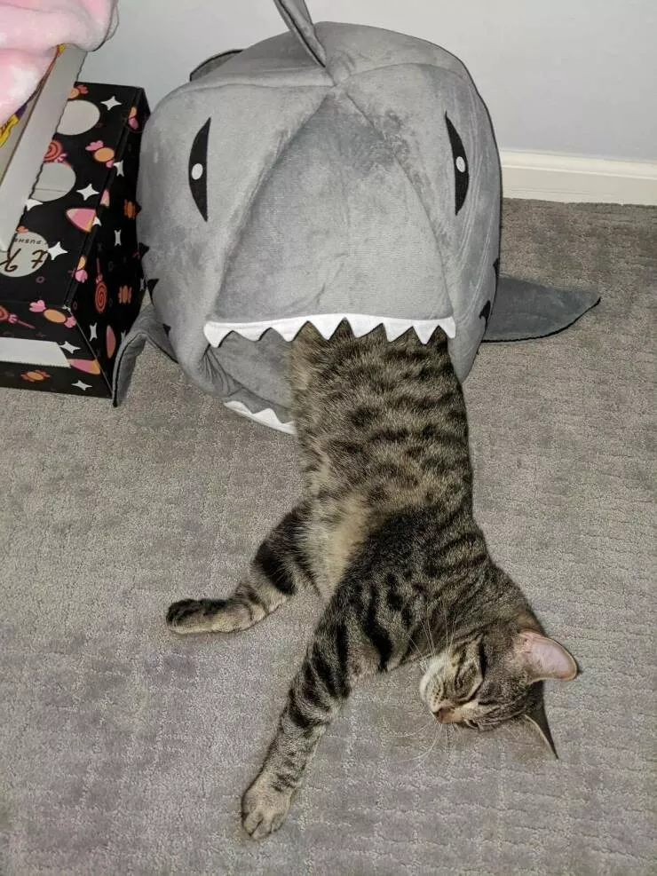 Picdump 622 - #55 