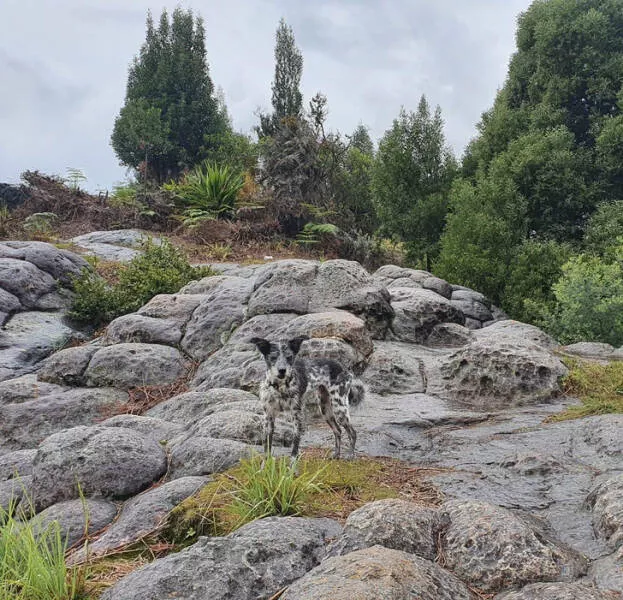 Un petit exercice pour les yeux - #12 