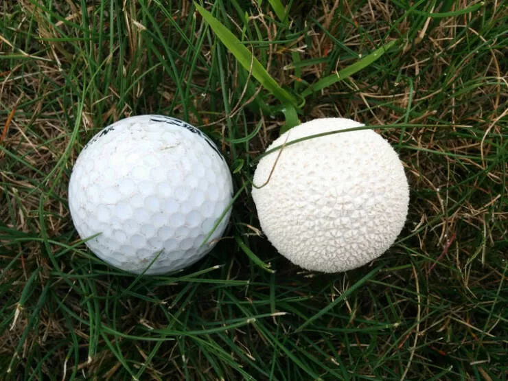 A little exercise for the eyes - #9 