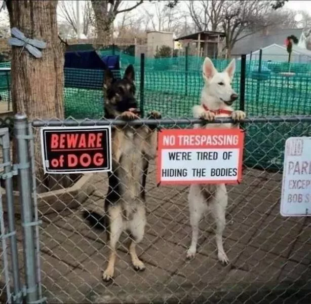 Love animal - #3 