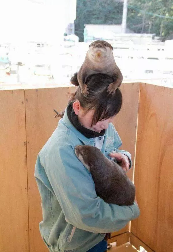 Love animal - #34 