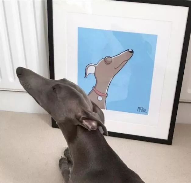 Love animal - #4 