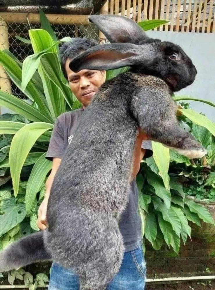 Picdump 623 - #30 