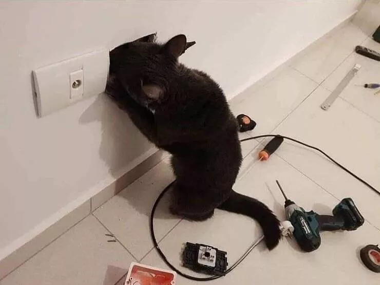 Picdump 623 - #5 
